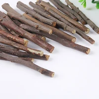 

Rabbit Cleaning Teeth Sticks Durable Safety Natural Apple Tree Branch Sticks Pet Chew Toys For Rabbits Chinchilla Guinea Pigs