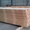 Poplar/pine/eucalyptus wood lvl scaffolding plank