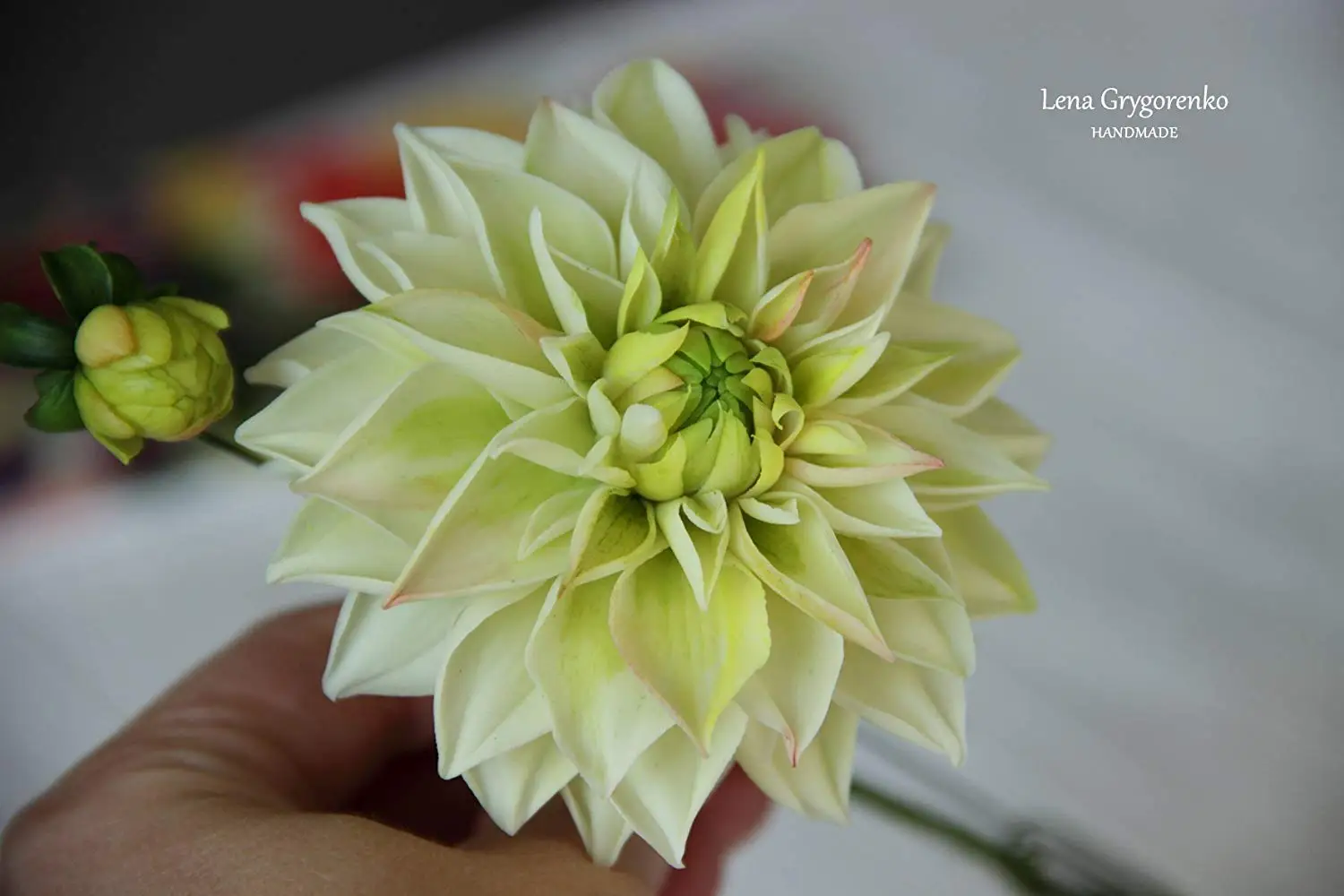 Cheap Dahlia Lowes Find Dahlia Lowes Deals On Line At Alibaba Com