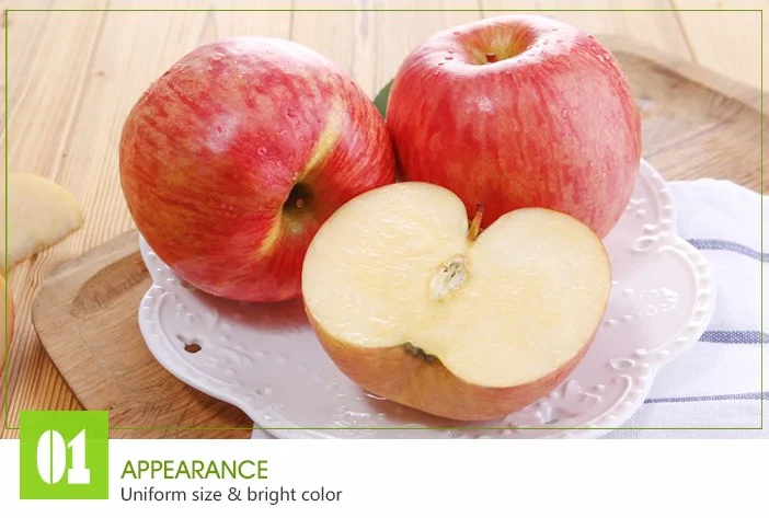 chinese supplier high quality kashmir apple