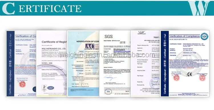 hydrostatic scale