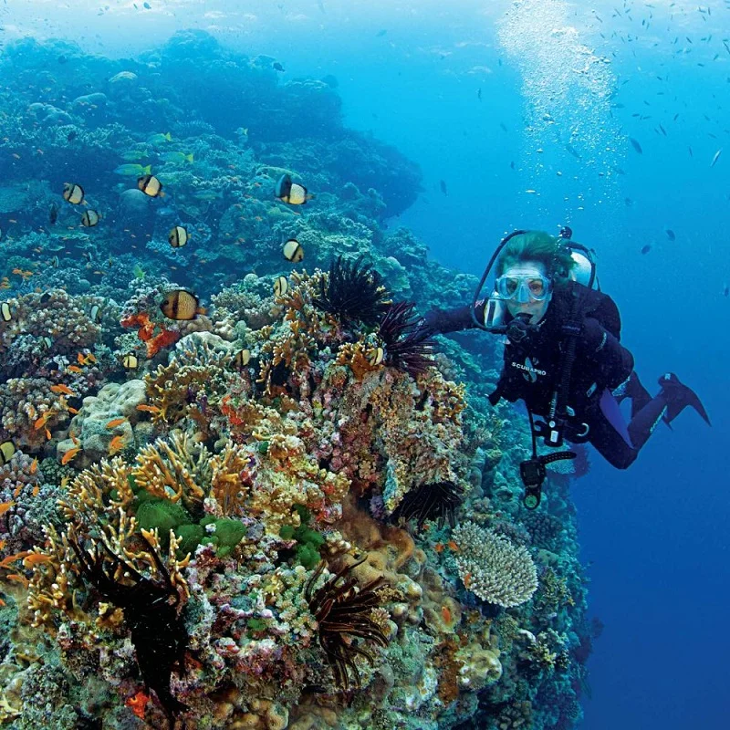 High Power T6 18650 Rechargeable IP68 Underwater Diving Torch LED