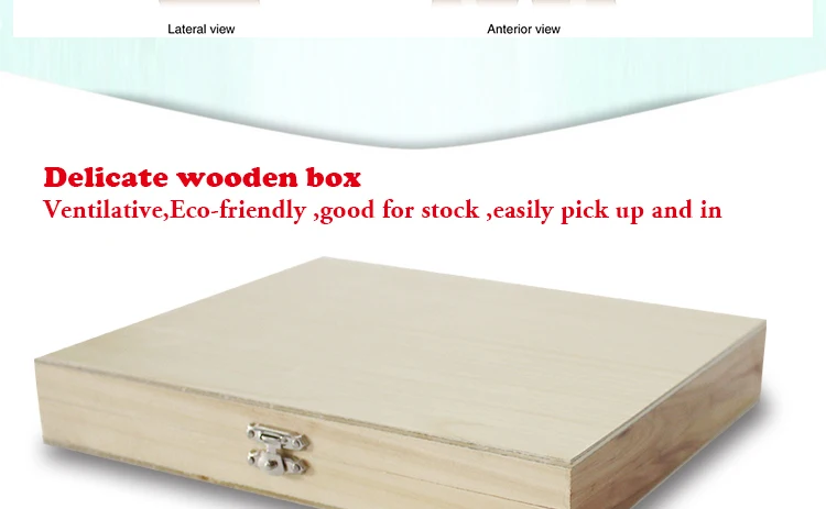 005 histology slides.jpg