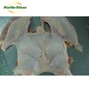 frozen halal bone in whole artificial bare breast fillet / bulk boneless chicken feet/ thighs / wings for sale