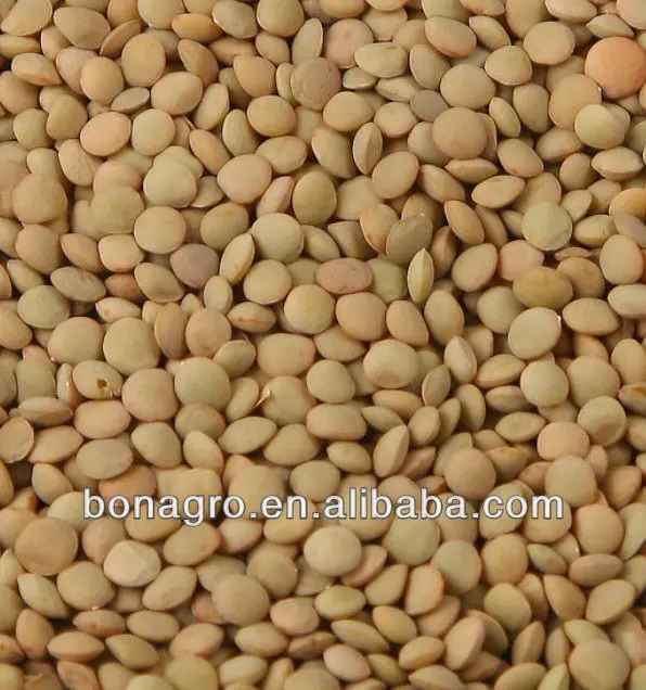 LENTILS-2