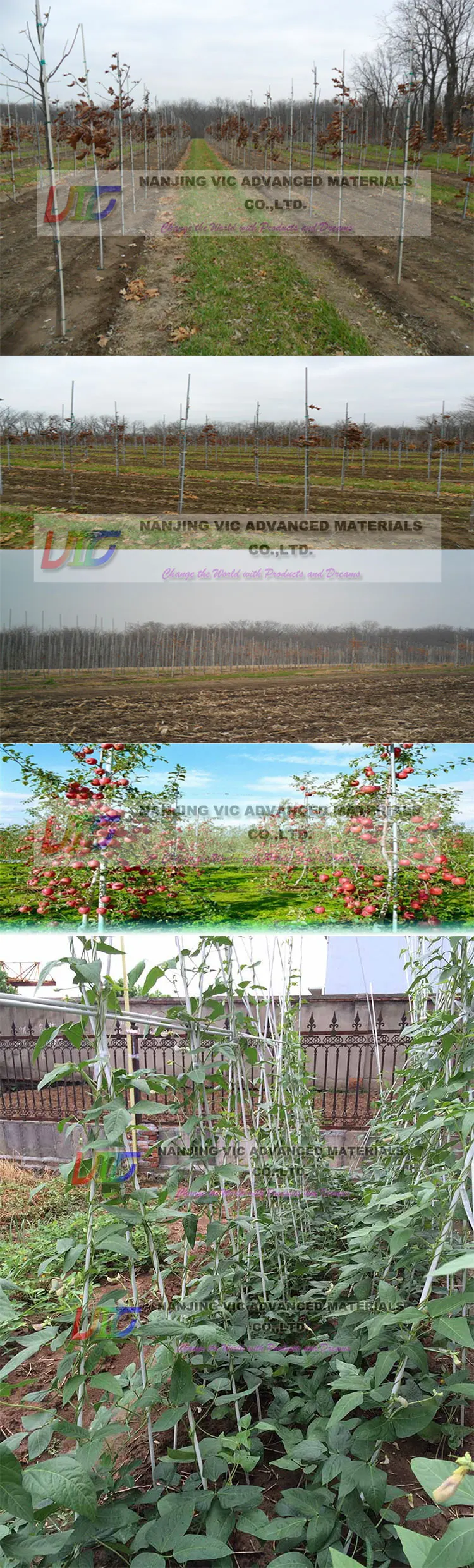 plant-stake-3