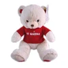 Make Design Your Own Plush Teddy bear for promotion gift