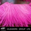 Good Quality 10-13cm Two Layers Ostrich Feather Trimming Fringe