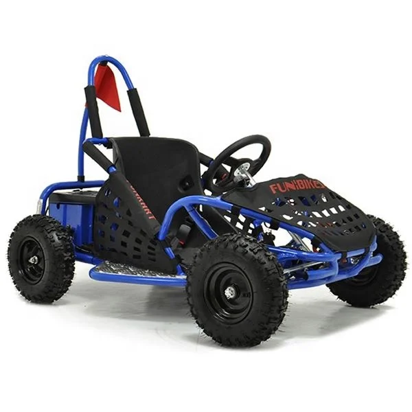 1000 watt go kart