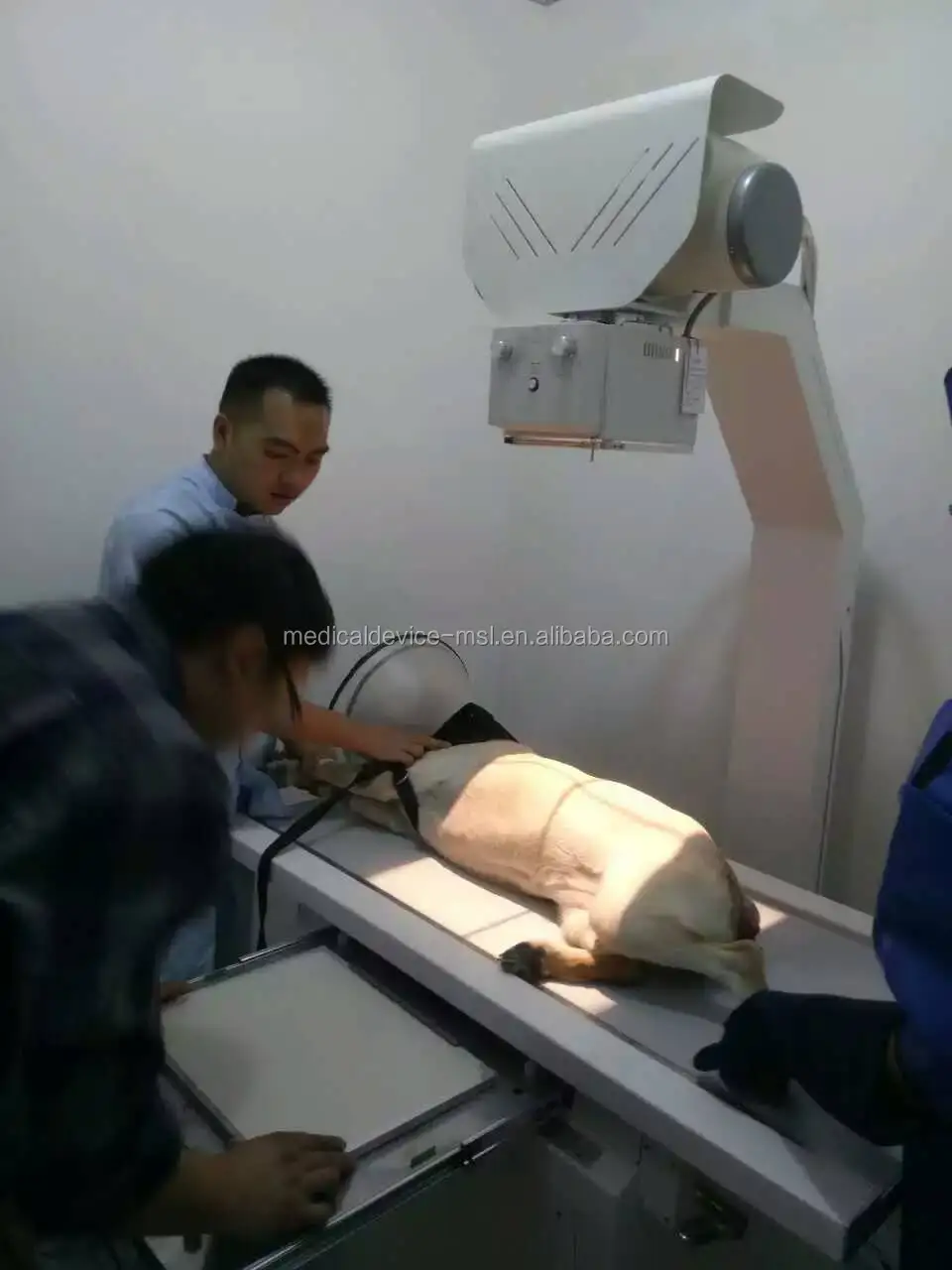 Digital Flat Panel X Ray Detector 17x17'' Wired Veterinary Used Human Used,Veterinary X Ray