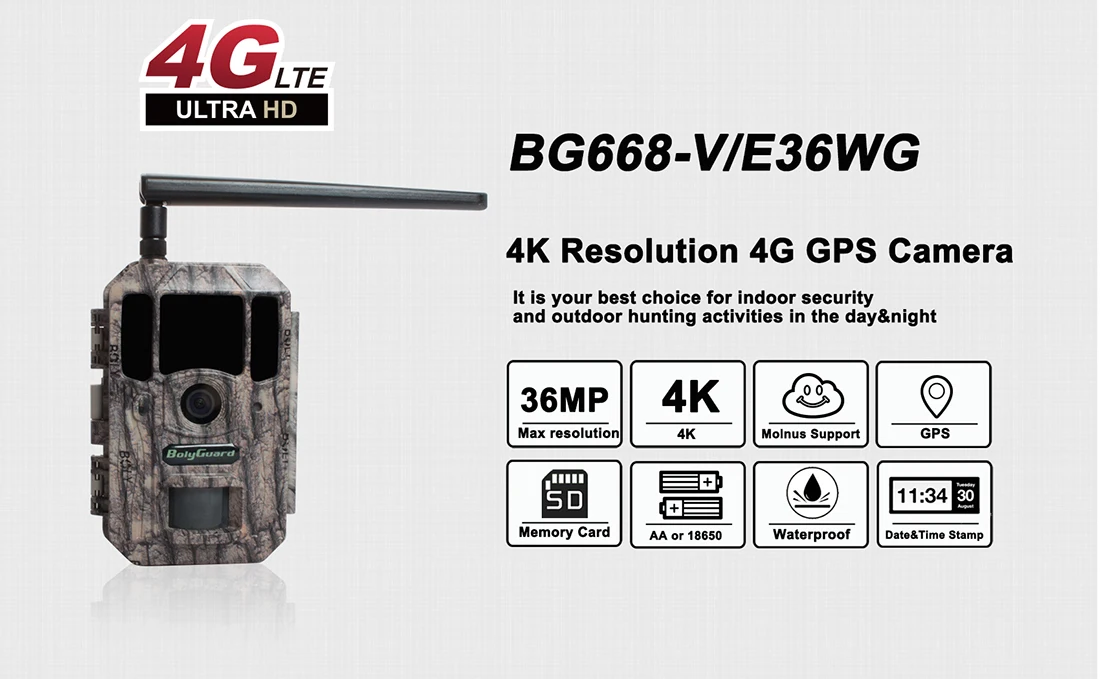 BG668-A30WG--0321.2-jpg