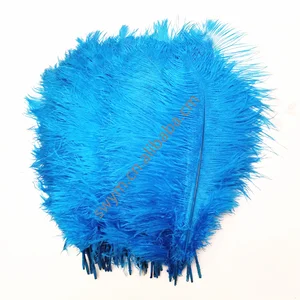 ostrich plume feathers wholesale