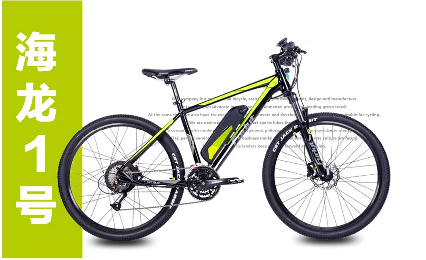longwise electric bike price