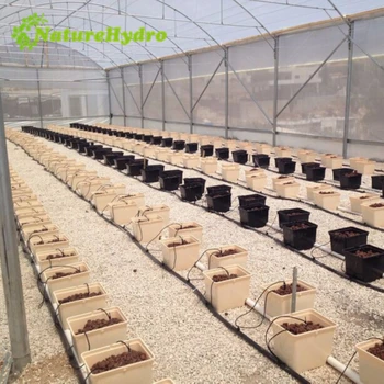 Hydroponics Hydroponics And Hydroponic Systems From Eco Enterprises