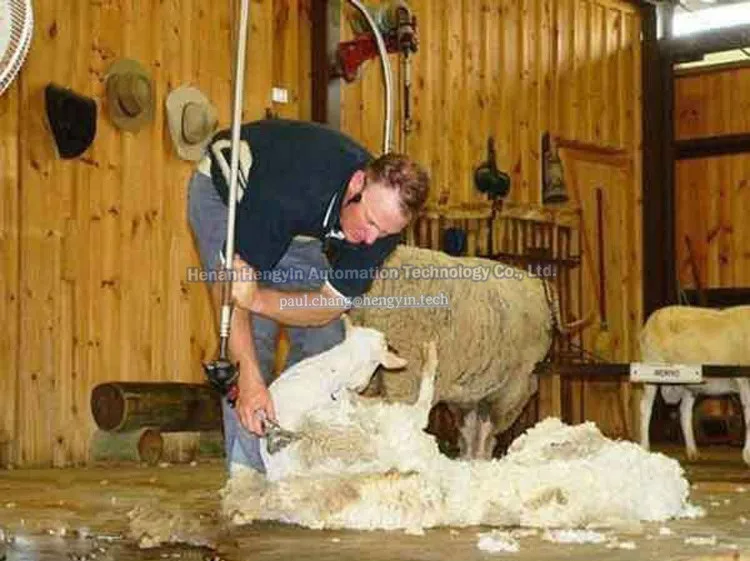 Sheep Shaver Machine Sheep Shearing Clippers Buy Sheep Shearing