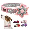 Didog Newest Item Soft Comfortable With Floral Shaped Nylon Pet Dog Collar