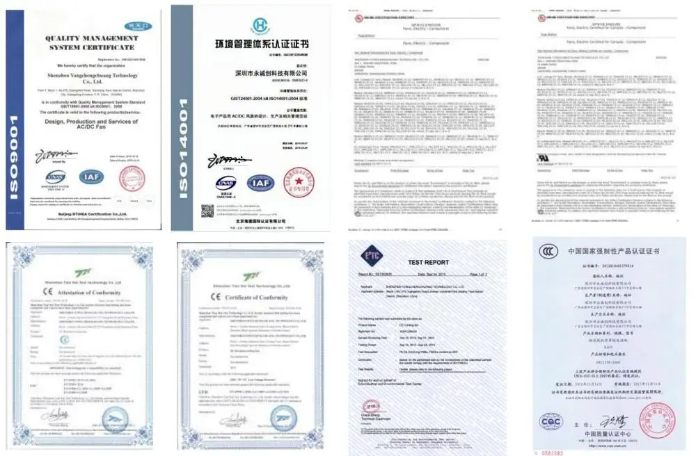 YCCFAN certificate.jpg