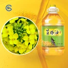 高品質ステンレス鋼冷たいまたはホットプレスrapeseeds/seasame/ピーナッツ/オイルプレス機食用油抽出マシン