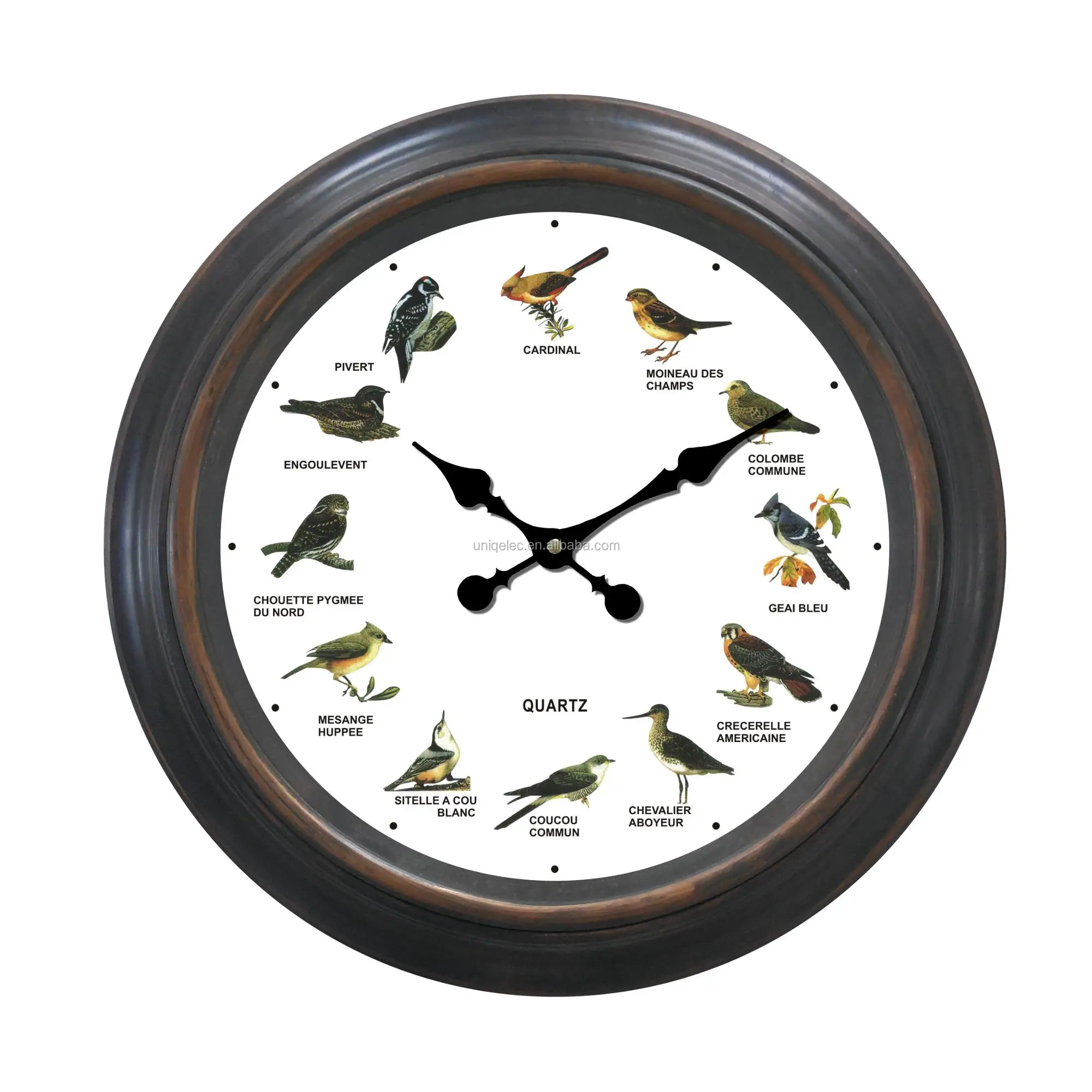 12 种鸟唱歌时钟塑料声音挂钟