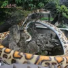 High Quality Decoration Simulation Amusement Animatronic Live Animals snake