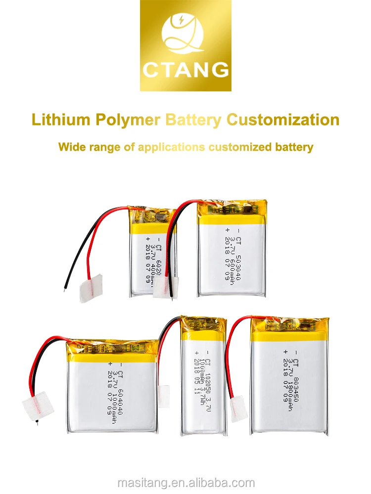 customized battery-002