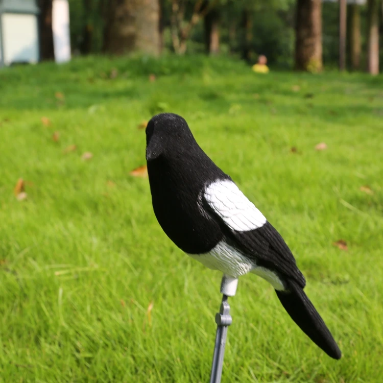 Outdoor Hunting Decoy Plastic Bait Magpie Animal Mould Simulation