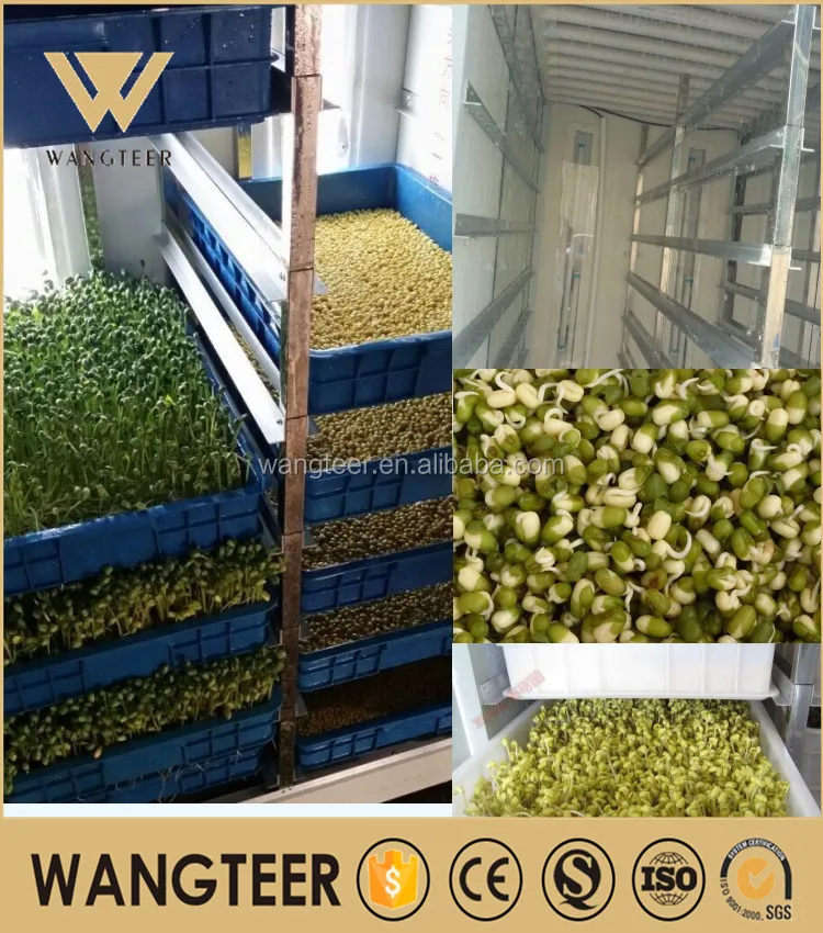 Bean Sprout Growing Machine 