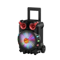 

Private mould speaker portable 8 inch trolley speaker with disco light