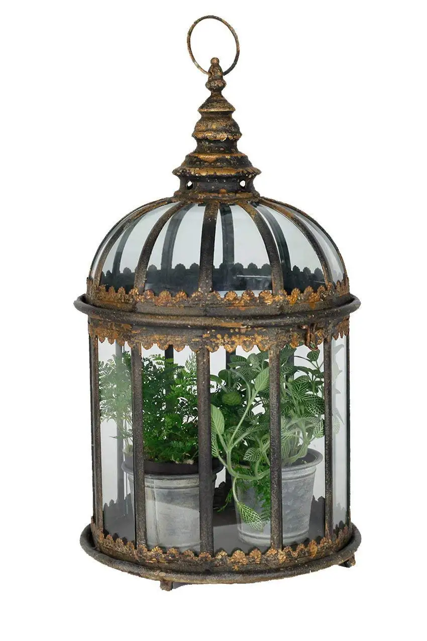 Cheap Vintage Terrarium, find Vintage Terrarium deals on line at