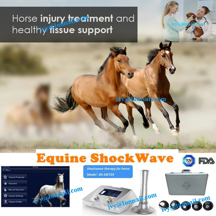 Equine Shockwave Therapy Shockwave For Horses And Small Animals Buy