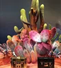 Fiberglass cactus window display props decoration tree sculpture