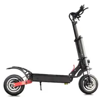 

CE EEC certificate Electric Scooter electrical