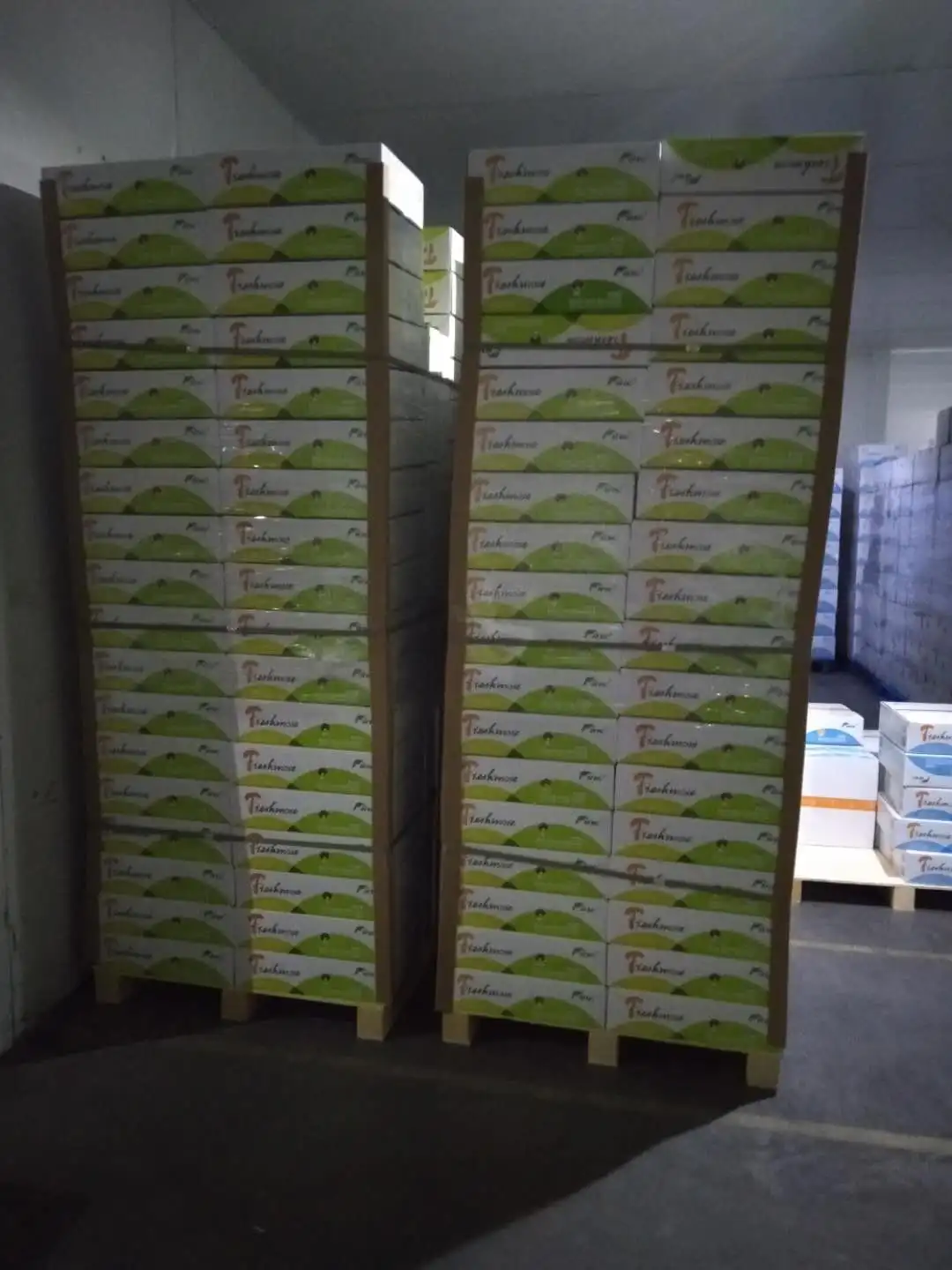 
fresh mushroom(brown shimeji) 