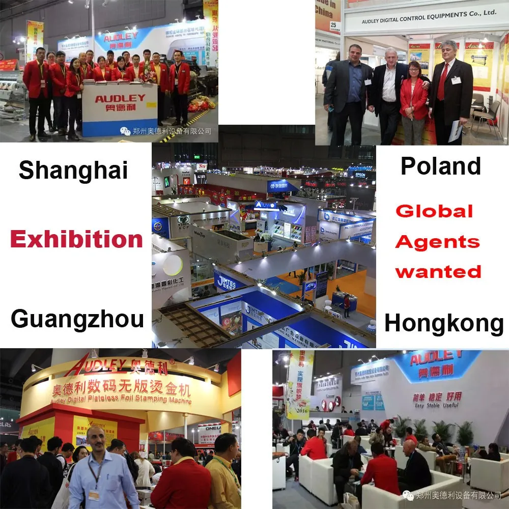 CE audley stable adl 3050 fltabed 3050a digital foil printer price in China ADL-3050A+
