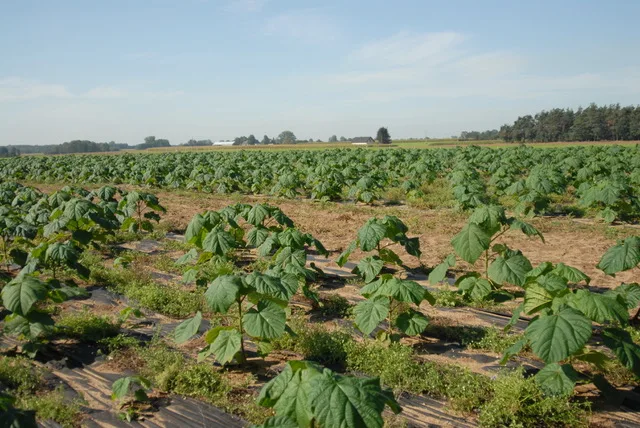 DSC_6747(02-24-10-00-27)