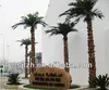 2014 Hot sale artificial palm tree landscape decoration indoor & outdoor washington fake palm tree