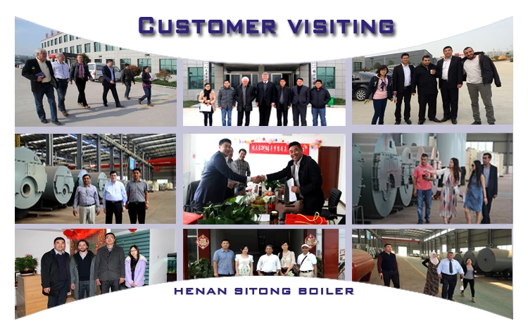 customer visiting of Industrial Electric Steam Boiler Factory Price.jpg