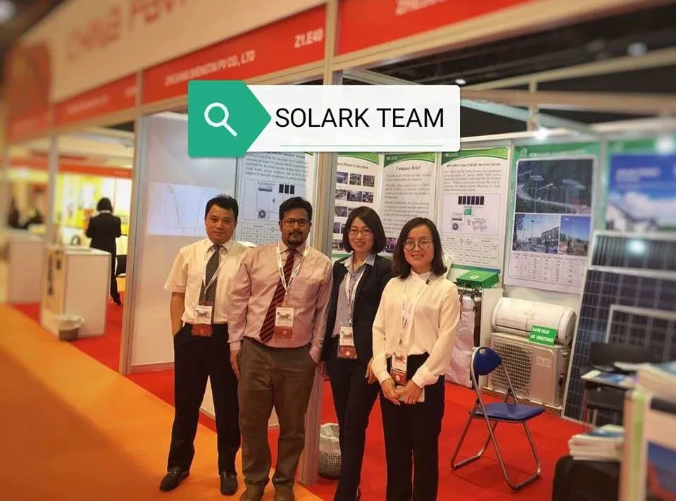 solark Team in Dubai (2)