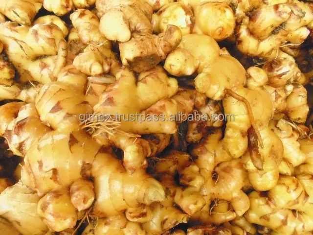 
Vietnam Fresh Ginger new crop +84984418844 whatsapp 