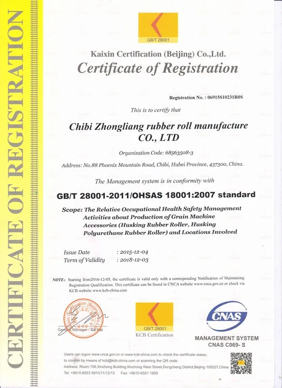 ISO 18001.jpg