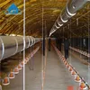 Steel Structure Farming Bird House/ Chicken House