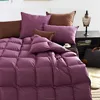 DOWN PASS Goose Duck Down Comforter Duvet Insert All Seasons Hypo-allergenic 750+ Fill Power
