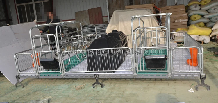 farrowing pen (1)