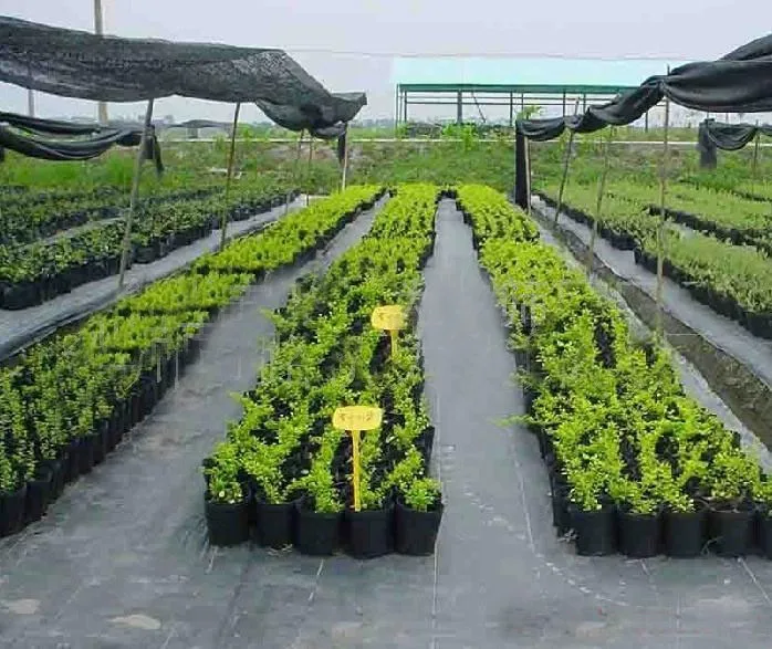 wind protecting sun shade netting