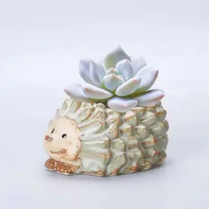 Image of Cartoon succulent flower pot animal planter hedgehog small ceramic flower pot
