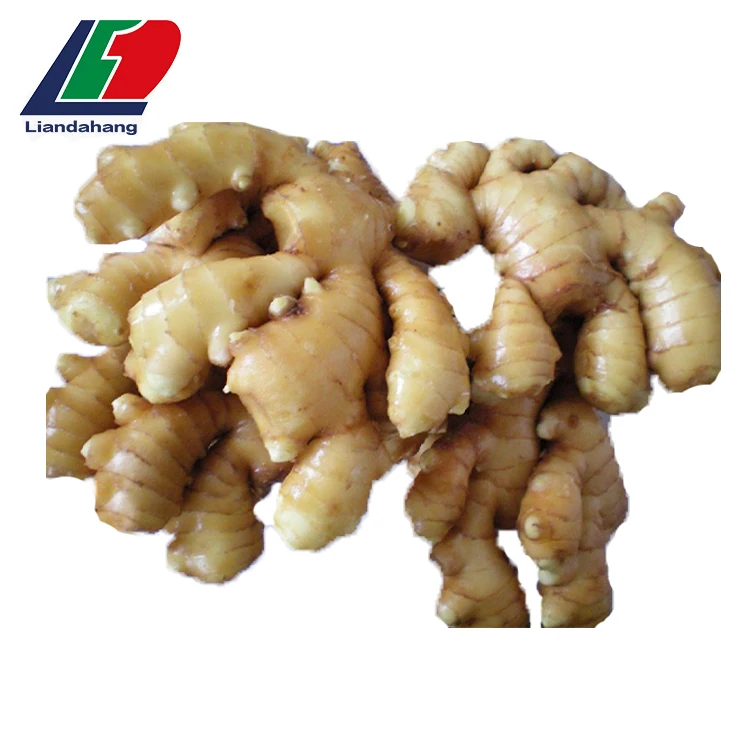 Gap Ginger Root Sliced Dried,Dried Ginger Root,Blue Ginger Buy Blue