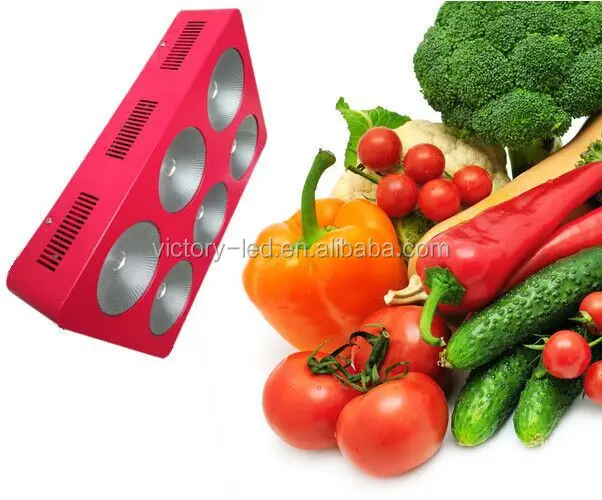 AC85~277V 300-1600W LED Grow Lighting Full Spectrum For Grow Project Stock From China Supplier