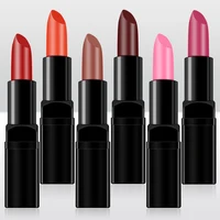 

Private Label Satin Velvet Moisture Lipstick with Black Lipstick Tube