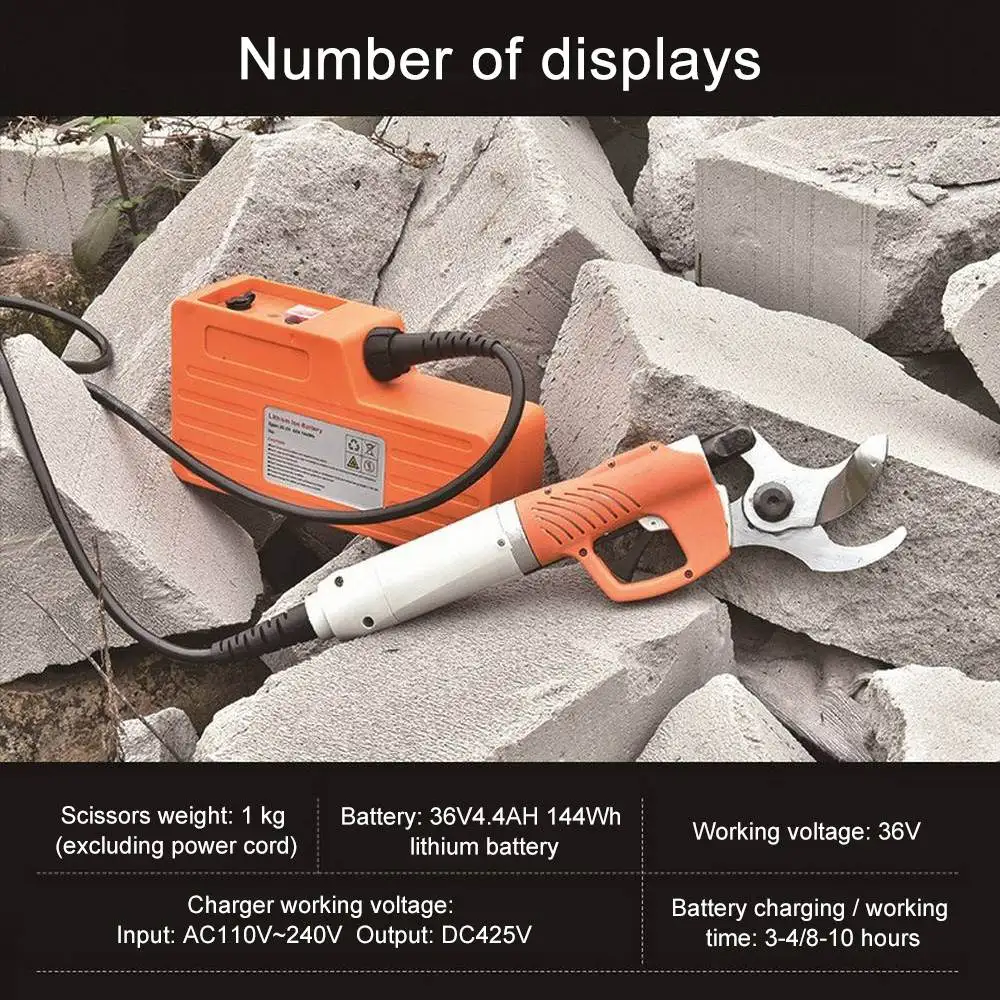 pruning shears (1).jpg