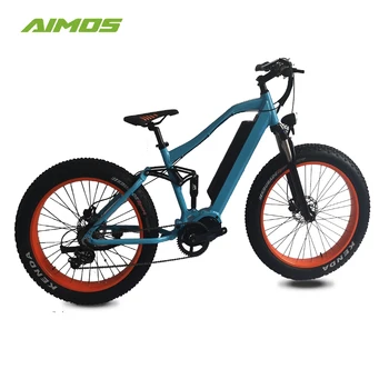 2 wheel drive electric bike